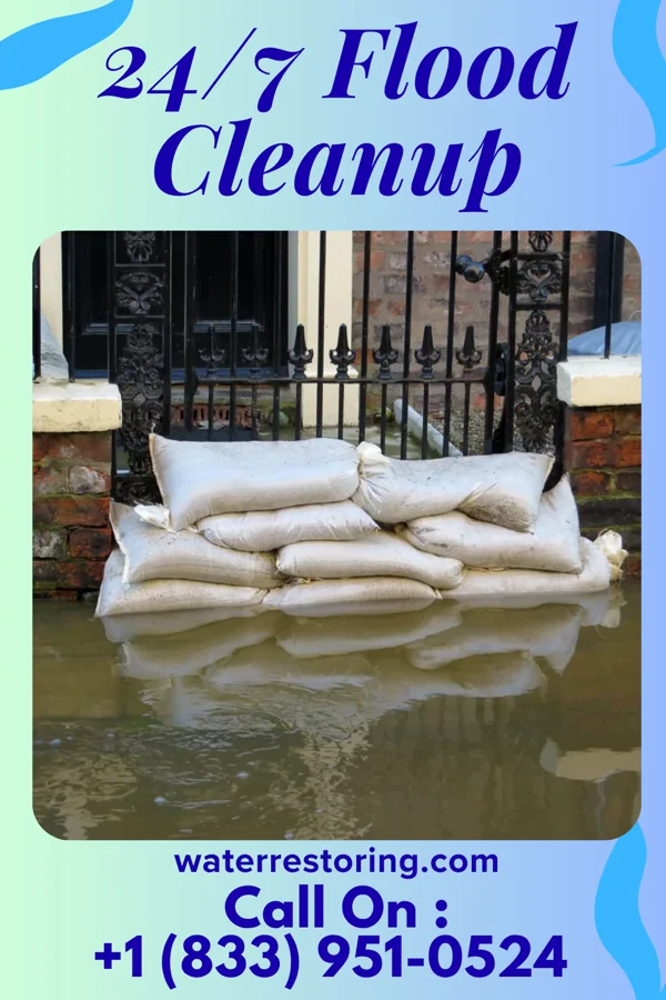 24/7 Flood Cleanup in Honor, MI