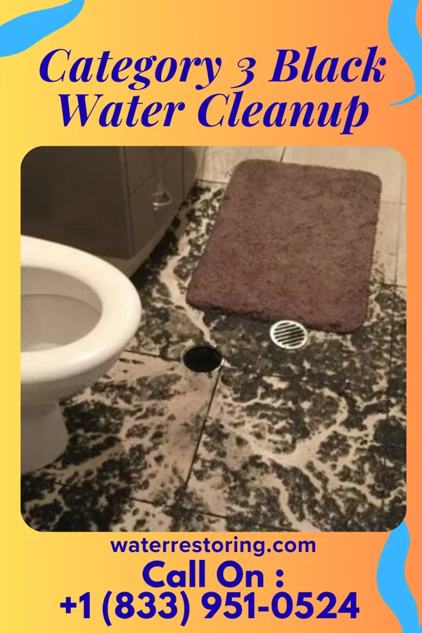Category 3 Black Water Cleanup in Honor, MI