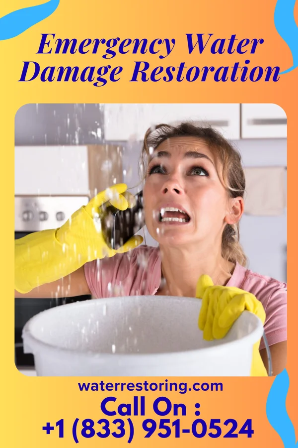 Emergency Water Damage Restoration in Honor, MI