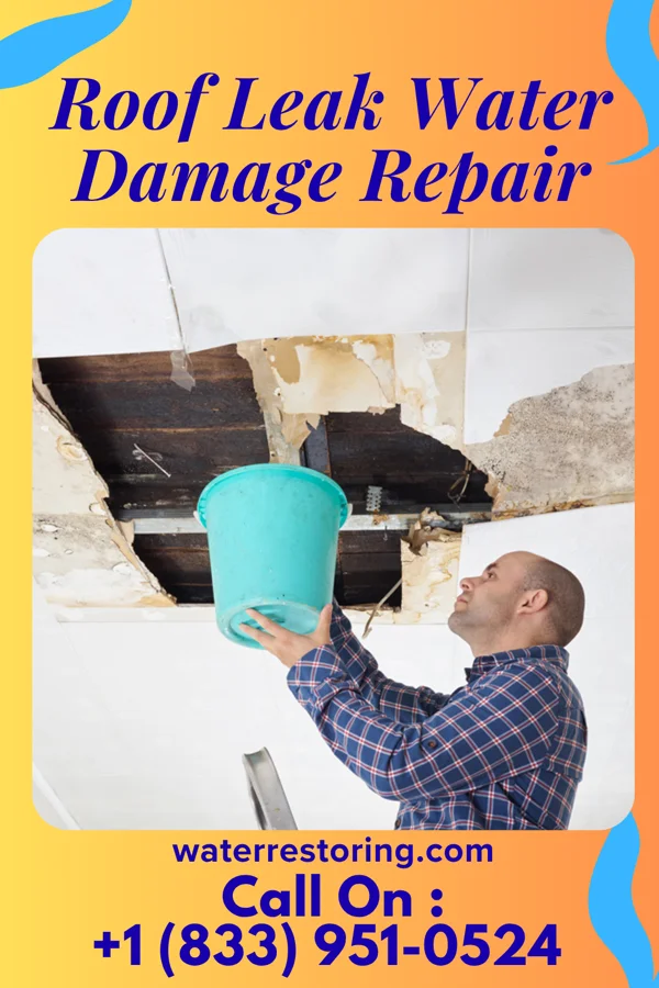 Roof Leak Water Damage Repair in Honor, MI