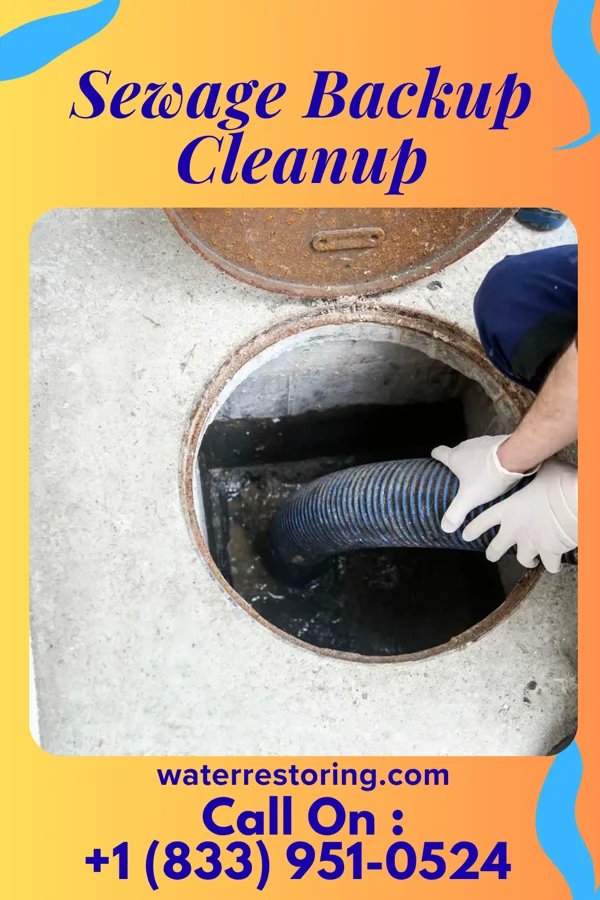 Sewage Backup Cleanup in Honor, MI