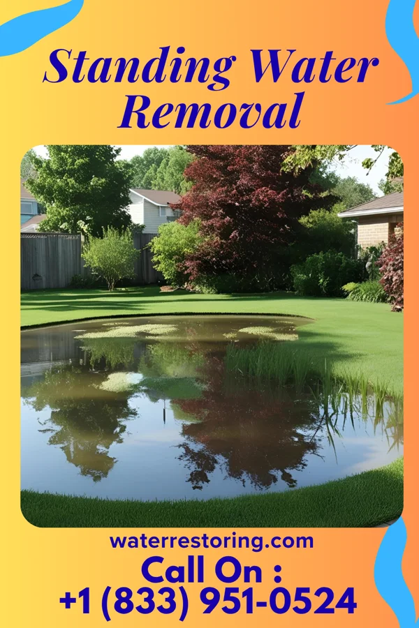 Standing Water Removal in Honor, MI